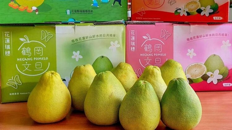 大陸國台辦:自恢復輸入臺灣文旦柚以來 已有多批次文旦柚銷往大陸 大陸國台辦:自恢復輸入臺灣文旦柚以來-已有多批次文旦柚銷往大陸