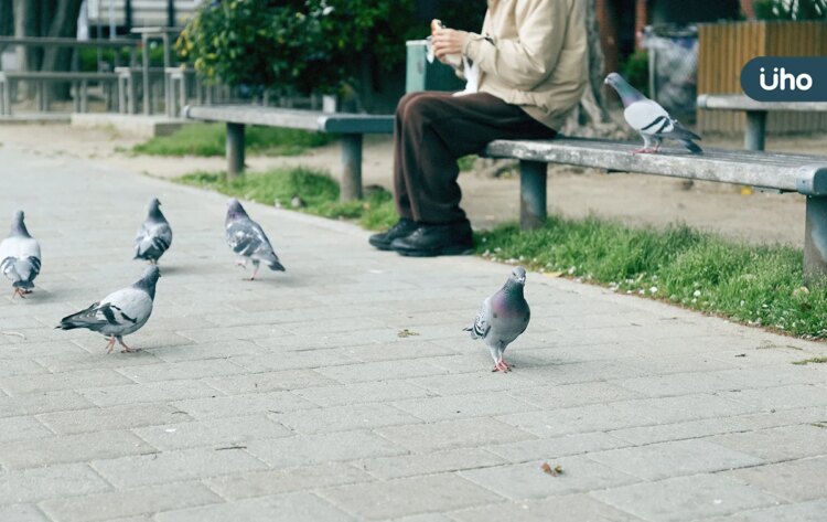 公園、機車遭「鳥糞轟炸」手別直接碰!當心黴菌感染引發「腦膜炎」 公園、機車遭「鳥糞轟炸」手別直接碰!當心黴菌感染引發「腦膜炎」