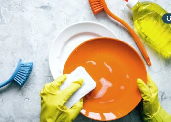 科技海綿可以洗什麼？專家揭密科技海綿「5大迷思」用完別只是放著