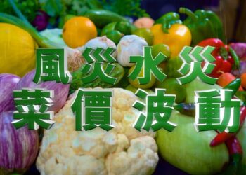 菜價波動時最佳選擇 波蜜果菜汁10元起輕鬆補菜