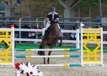 馬術》李泓毅期許自我 為達目的永不停歇