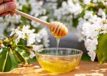 生活達人分享蜂蜜保存方法-吃新鮮超美味