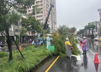 山陀兒颱風過境-南市傳零星災情-已迅速排除恢復市容