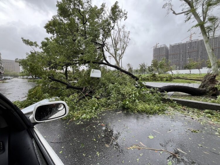 山陀兒颱風登陸高雄傳災情，強風豪雨致多區停水停電，居民苦不堪言