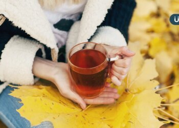 有食譜》24節氣「寒露」防受涼！中醫1招「百合大棗銀耳茶」止咳潤肺