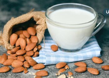 有食譜》寒露防燥潤肺怎麼吃？教你自製「養生杏仁露」冰過更香醇