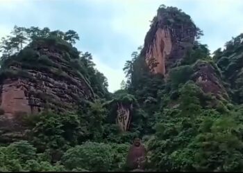 土之道——武夷茶岩土壤