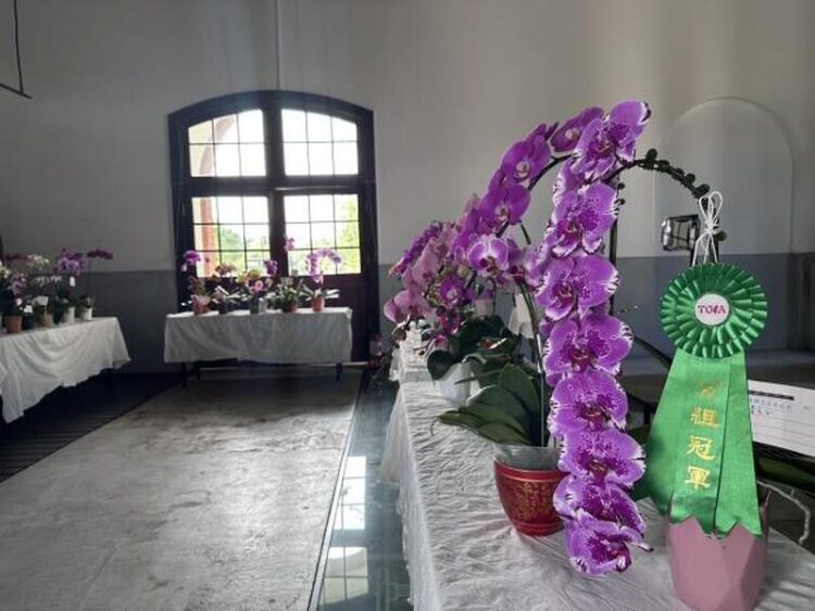 蘭花展為館慶暖身 潑墨色石斛蘭、手掌大仙履蘭成為目光焦點 蘭花展為館慶暖身-潑墨色石斛蘭、手掌大仙履蘭成為目光焦點