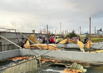 山陀兒颱風林園區魚塭養殖災損-現金救助及低利貸款即日起受理申辦