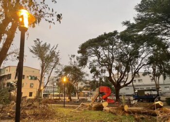 市府團隊全力動員參與救災-加速恢復市容