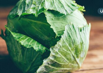 消化不良、胃不好吃什麼？養胃10大食物：吃「國民天菜」防胃潰瘍