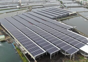 【漁電共生期中考】光電蓋了，誰會養魚？光電屋頂型室內養殖調查報告