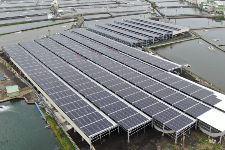 【漁電共生期中考】光電蓋了，誰會養魚？光電屋頂型室內養殖調查報告