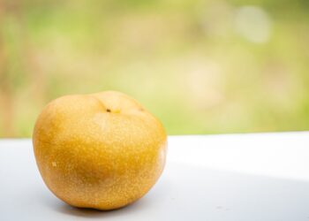 【品種植金】農業永續競爭力的智慧種子-新品種育成路迢迢、權利誰維護？