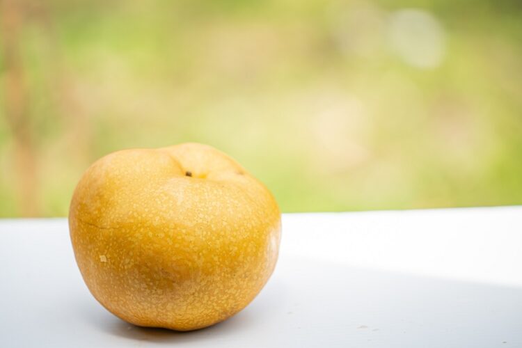 【品種植金】農業永續競爭力的智慧種子-新品種育成路迢迢、權利誰維護？