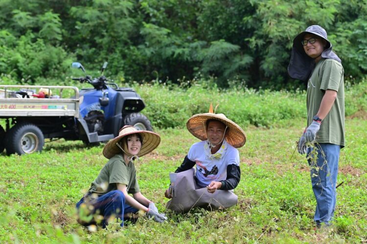 金門一條根新突破!HOSE「滾珠按摩刀」攜小農驚人創舉 金門一條根新突破!hose「滾珠按摩刀」攜小農驚人創舉