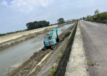 典寶溪加強清淤-確保流域排水安全