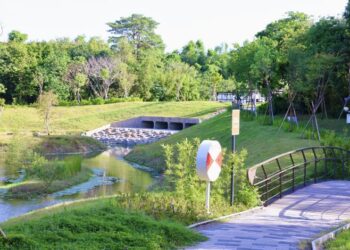 台南市區最後秘境-哈赫拿爾森林即將開放！