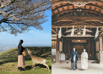 日本景點｜奈良旅遊全攻略、千年古都必訪行程可不只有餵鹿！