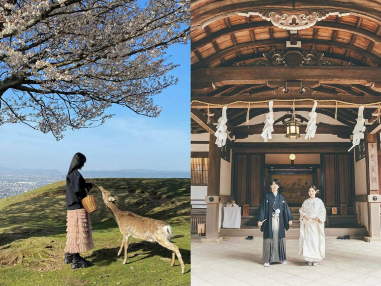 日本景點｜奈良旅遊全攻略、千年古都必訪行程可不只有餵鹿！