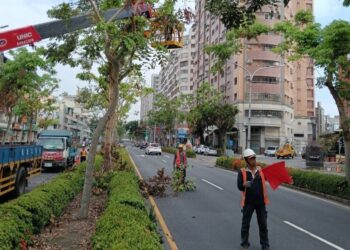 颱風來襲！高市公園處強化護樹防颱準備