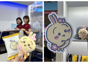 人氣IP成為航空公司吸客法寶？網友：衝著它買票