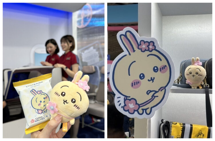 人氣IP成為航空公司吸客法寶？網友：衝著它買票