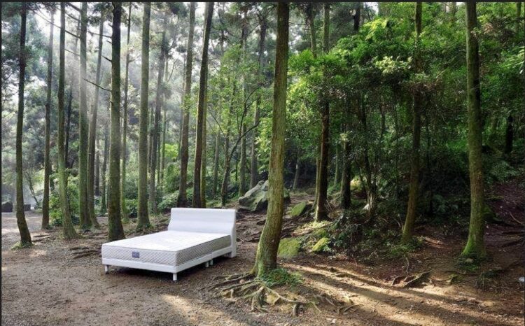 手工床墊第一品牌!新北土城床墊專家阿萬師量身打造親膚透氣床墊 手工床墊第一品牌!新北土城床墊專家阿萬師量身打造親膚透氣床墊