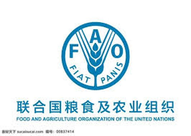 聯合國警告:全球多地糧食危機或將惡化,衝突與氣候變遷加劇飢餓威脅 聯合國警告:全球多地糧食危機或將惡化,衝突與氣候變遷加劇飢餓威脅