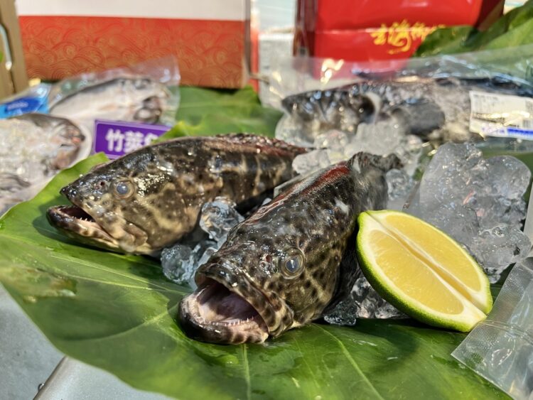 臺灣養殖龍虎斑獲准輸日 陳駿季:降低中國單一市場倚賴 後續積極推動外銷 臺灣養殖龍虎斑獲准輸日-陳駿季:降低中國單一市場倚賴-後續積極推動外銷