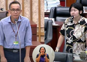 鄭安秝要求市府加速處理颱風吹倒路樹招牌-避免夜行危險