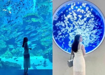 桃園景點｜青埔兩日遊必玩攻略！探索兒童美術館、華泰名品城與隱藏美食！