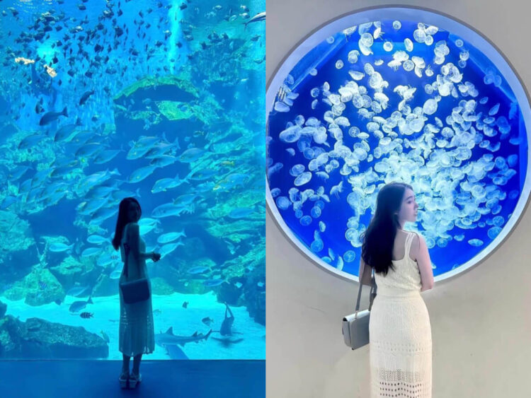 桃園景點|青埔兩日遊必玩攻略!探索兒童美術館、華泰名品城與隱藏美食! 桃園景點|青埔兩日遊必玩攻略!探索兒童美術館、華泰名品城與隱藏美食!