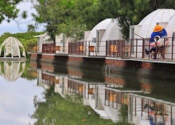 臺南露營新玩法！體驗異國風情與生態之美