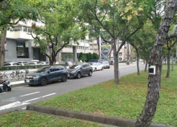 城市樹木傾斜監測系統正式啟用-適時警訊保障市民安全