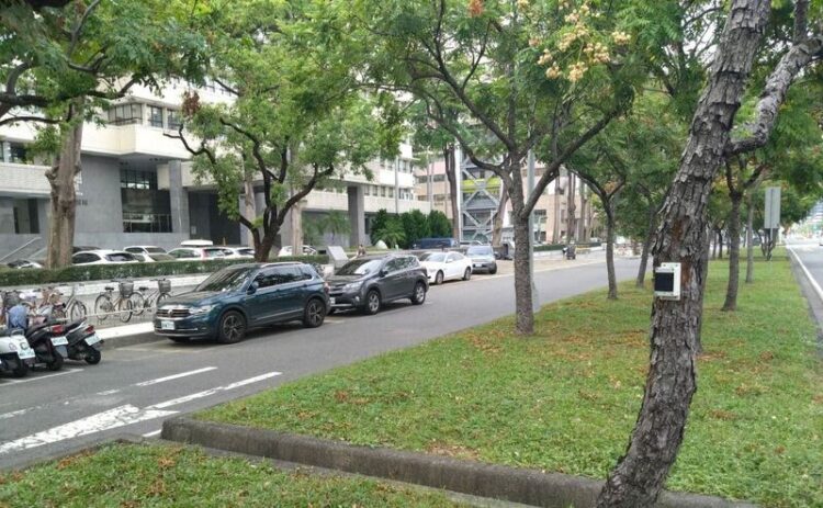 城市樹木傾斜監測系統正式啟用 適時警訊保障市民安全 城市樹木傾斜監測系統正式啟用-適時警訊保障市民安全