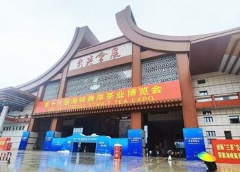 台灣茶農亮相武夷山-茶博會成兩岸交流新橋樑