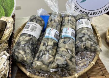 防越南、中國蚵洗產地-農業部推金門養殖登記、掌握生產數量