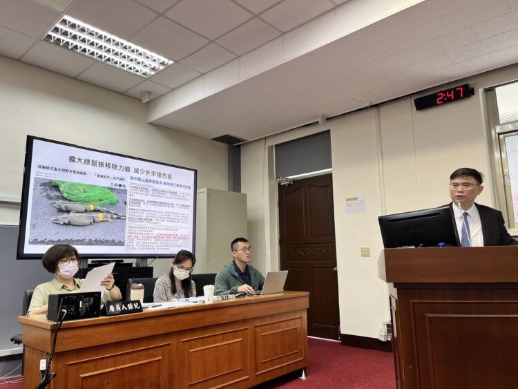 全臺綠鬣蜥近20萬隻 農業部研擬比照埃及聖䴉使用槍枝、獎勵移除 全臺綠鬣蜥近20萬隻-農業部研擬比照埃及聖䴉使用槍枝、獎勵移除