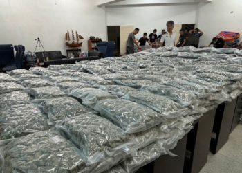 毒梟中秋貨櫃藏大麻，海巡攔截市值11億多