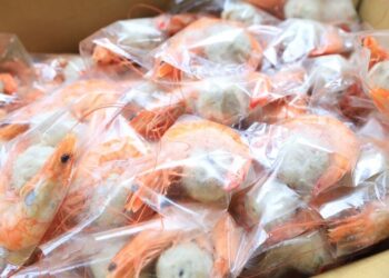 來高雄呷通海-2024大海開吃第3站茄萣烏魚海鮮美食節登場