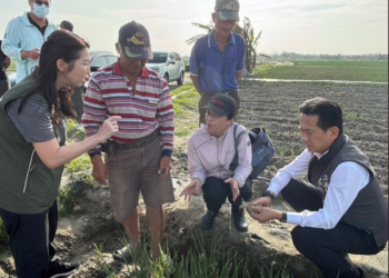 安南區農民獲得天災補助-林俊憲立委攜議員蔡麗青爭取每公頃4萬1千元支援