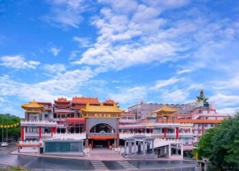 中華隊奪冠！高雄東照山關帝廟主委-12月1日-大方送雞排