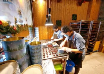 台中最搶手曲奇？2025過年伴手禮《短腿阿鹿餅乾》排隊秘訣揭秘