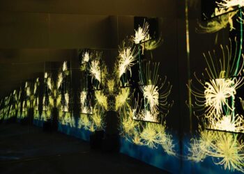 攜手知名生成式藝術家，LG OLED 限定展覽呈現視聽饗宴