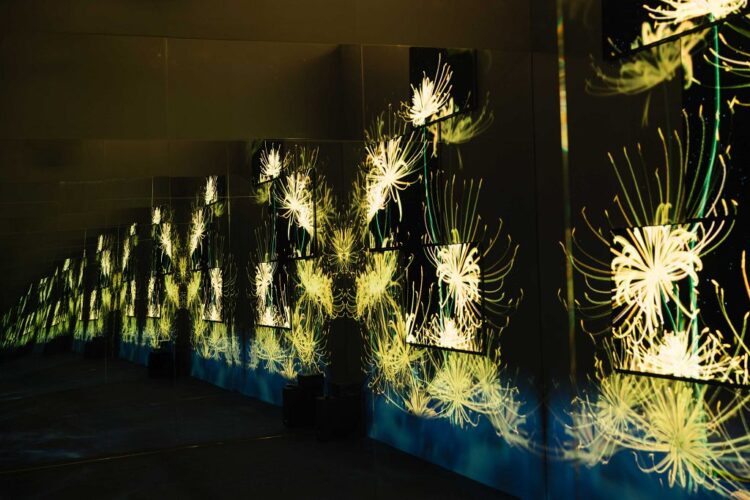 攜手知名生成式藝術家，LG OLED 限定展覽呈現視聽饗宴