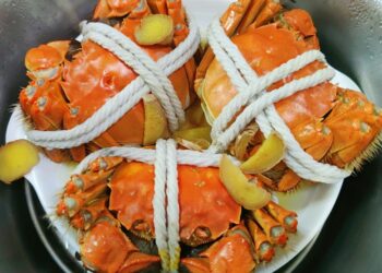 泰山熱炒聚餐首選 結合海鮮熱炒、KTV包廂 美食娛樂一次滿足