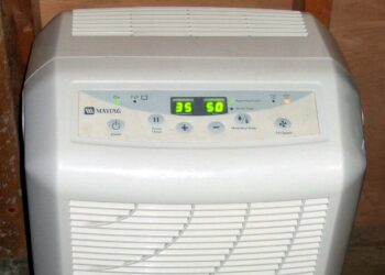 「2情況」最好別開除濕機！台電再曝「省錢絕技」：1年少付8％電