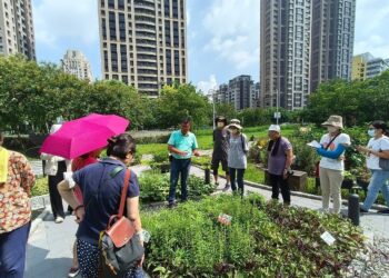 住家陽台植物養不活？-田園城市專家揭原因