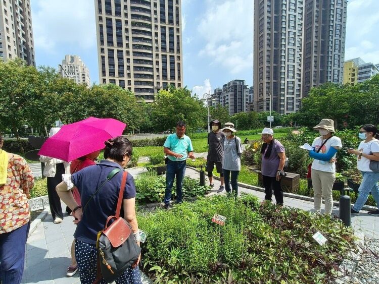 住家陽台植物養不活? 田園城市專家揭原因 住家陽台植物養不活?-田園城市專家揭原因